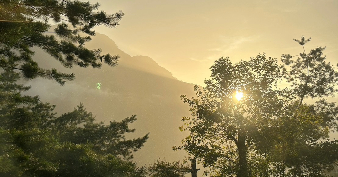 Alishan．The Beauty from Taiwan