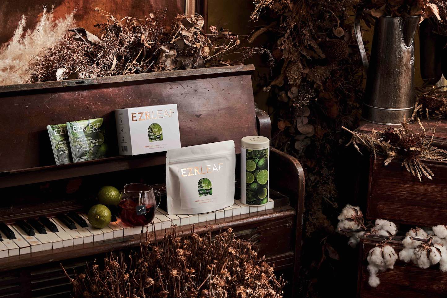 馬鞭草：一種適合日常的溫和草本陪伴